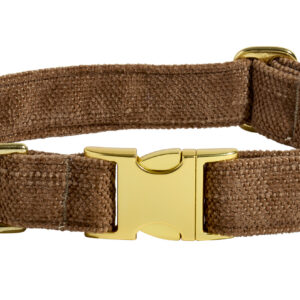 Designer Buckle Collar
