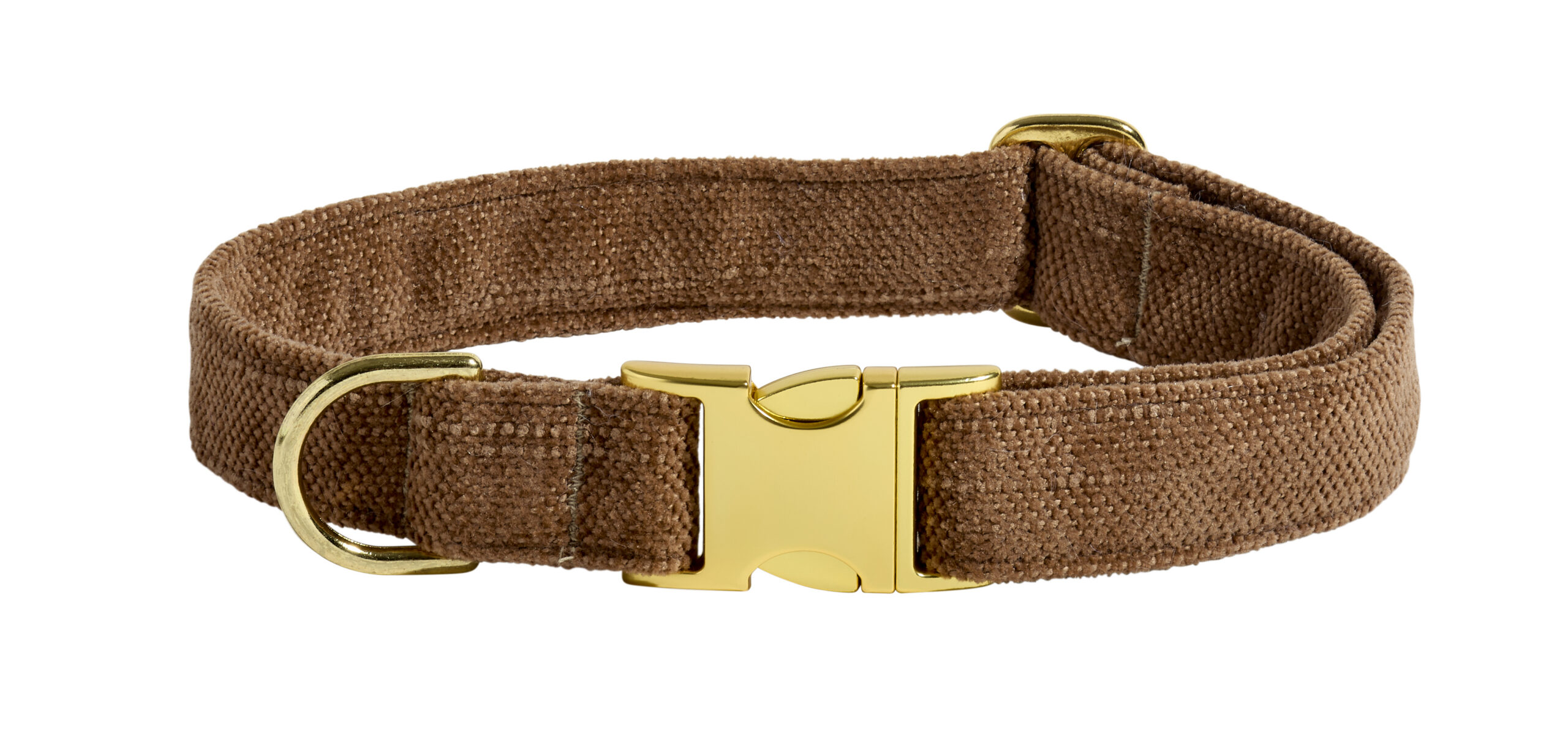 Designer Buckle Collar