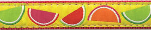 Up Country Candy Slice Dog Lead