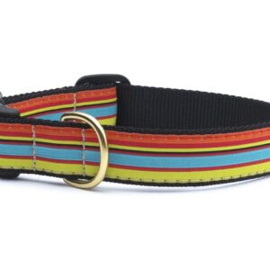 Up Country Bright Stripe Dog Collar