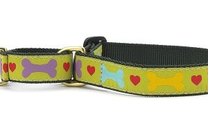 Up Country Heart & Bone Martingale Dog Collar