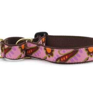 Up Country Lush Paisley Martingale Collar