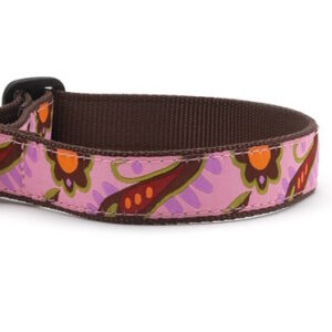 Up Country Lush Paisley Dog Collar