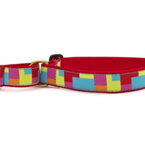 Up Country Color Block Martingale Ribbon Dog Collar