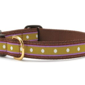 Up Country Dotty Stripe Dog Collar